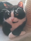 Batal's Avatar